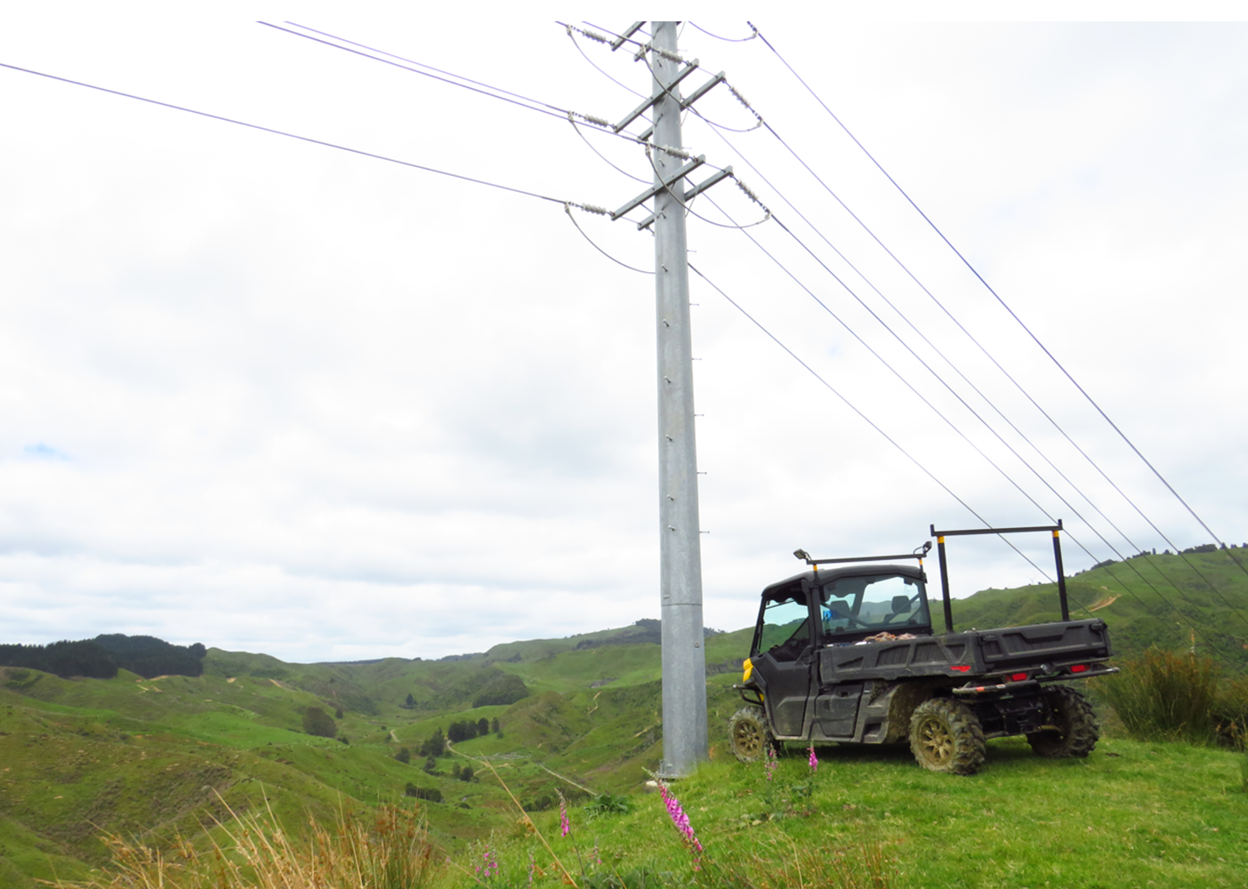 Canam Defender Pro (pickup) DPS HD10 2024