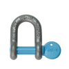 NU-D10mm D-Shackle Galv