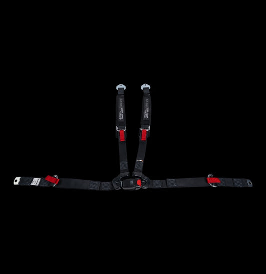 4 - Point Harness - Passenger