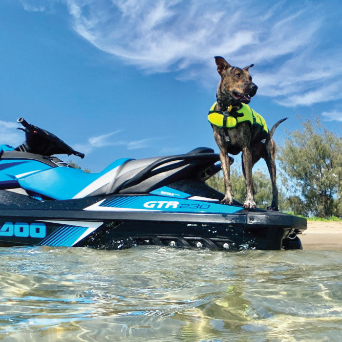 Jet Pilot 2021 DOG PFD