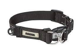 RADAR 2020 Dog Collar