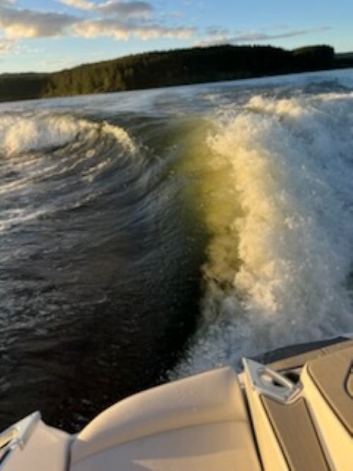 Mastercraft X22 2019 Salt series