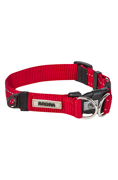 RADAR 2023 RADAR Dog Collar